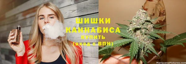 соль ск Арсеньев