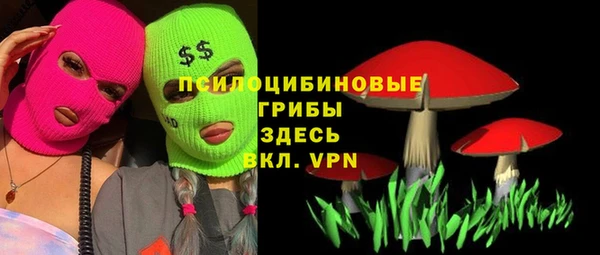 МДПВ Аркадак