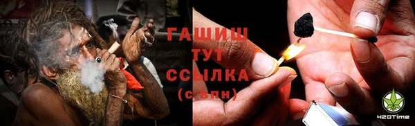 прущие грибы Армянск