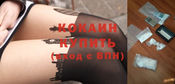 прущие грибы Армянск