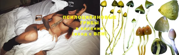 МДПВ Аркадак