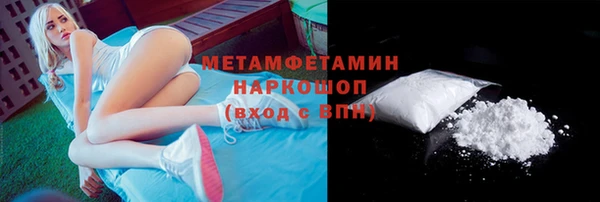 прущие грибы Армянск