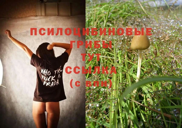 МДПВ Аркадак