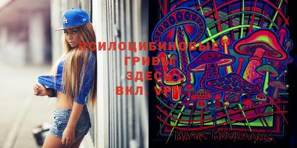 прущие грибы Армянск