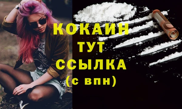 прущие грибы Армянск