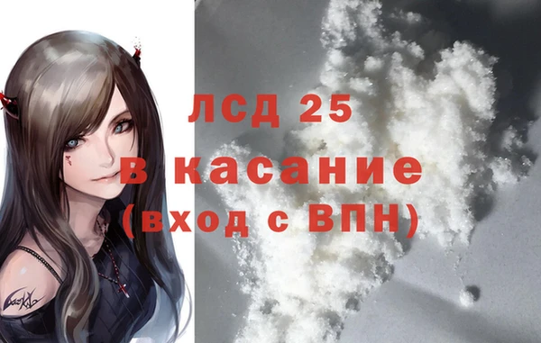 прущие грибы Армянск