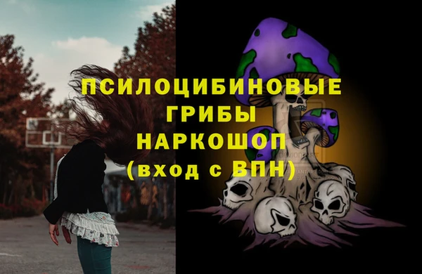 соль ск Арсеньев