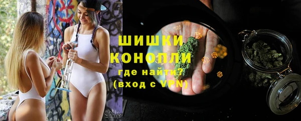 соль ск Арсеньев