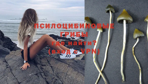соль ск Арсеньев